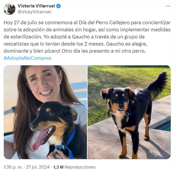 El tuit de Villarruel sobre su perro "Gaucho"