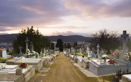 Cementerio de San Francisco