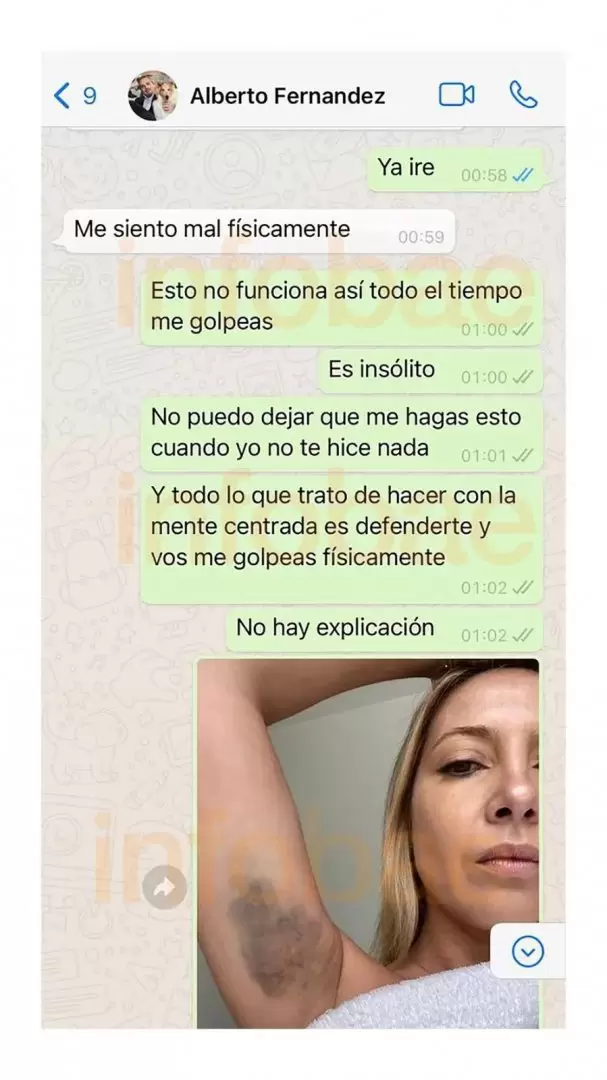 Las chats entre Fabiola Yez y Alberto Fernndez que estn en la causa judicial