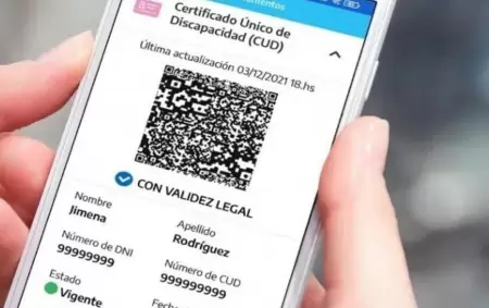 Certificado nico de Discapacidad