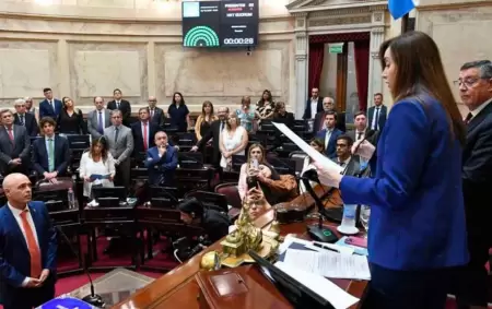 Vicky Villarruel en el Senado