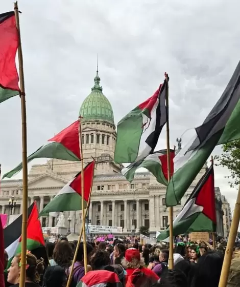 Reivindicacin de la lucha por el pueblo palestino en el Congreso de la Nacin