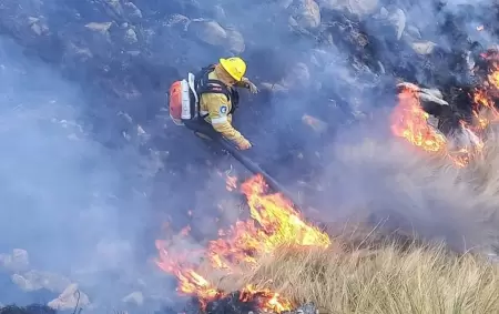 210 bomberos trabajaron arduamente en el lugar