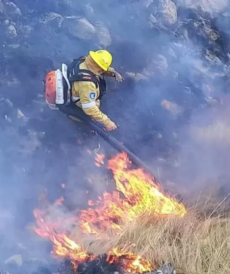 210 bomberos trabajaron arduamente en el lugar