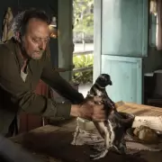 Animalitos, perros y mucho amor: "Mi Amigo el Pingino", una historia basada en la vida real, muy particular