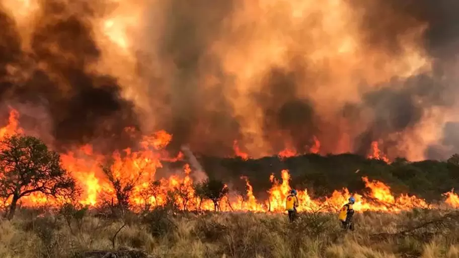 El fuego se llev aos de trabajo y sacrificio de los cordobeses