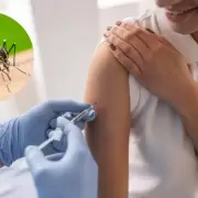 Arranca la vacunacin contra el dengue: quines se la podrn aplicar gratis y todas las respuestas