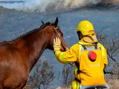 Incendios en Crdoba