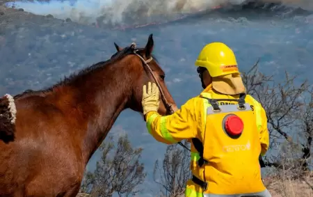 Incendios en Crdoba