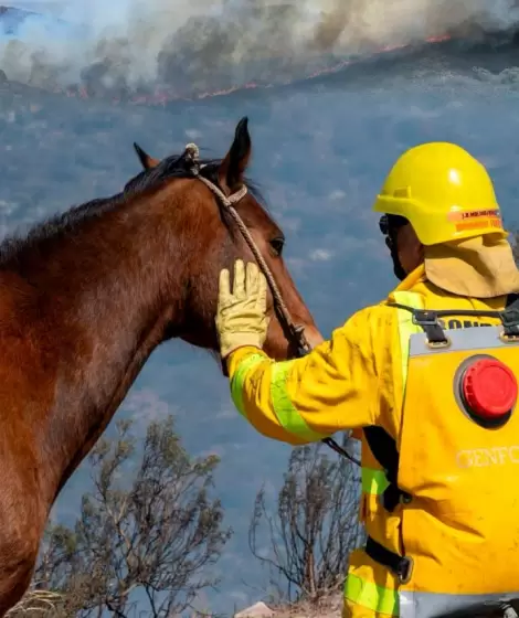 Incendios en Crdoba