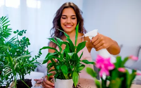 Plantas que recomienda el Feng Shui