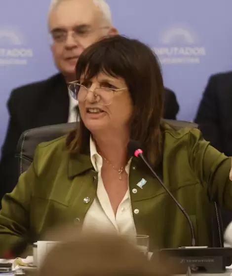 Patricia Bullrich en la comisin de Presupuesto y Hacienda