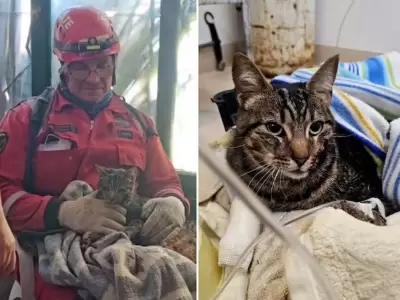 Kiara, la gata de Nahuel Stefanic (25), una de las vctimas fatales