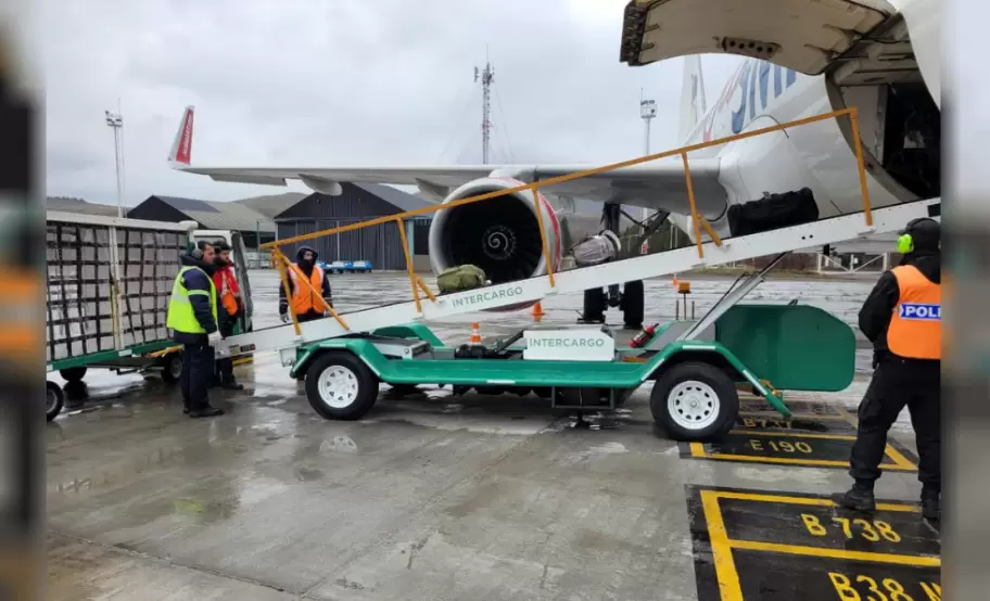 Las fuerzas de seguridad podrn brindar servicios aeroportuarios y de rampa