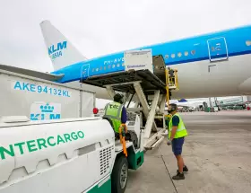 Intercargo quedó dispuesta a privatización.