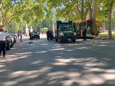 Un colectivo perdi el control en Mendoza, choc contra un rbol y el chofer muri en el acto