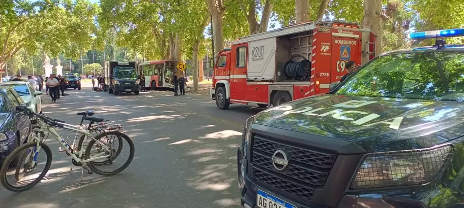 El hecho ocurri en el Parque San Martn, en la capital provincial.