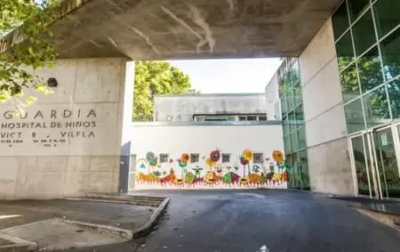 Peleaba por su vida en el Hospital de Nios Vctor J. Vilela de Rosario.