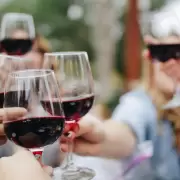 Cinco tips para aprender a catar vinos: paso a paso, todo lo que tens que saber