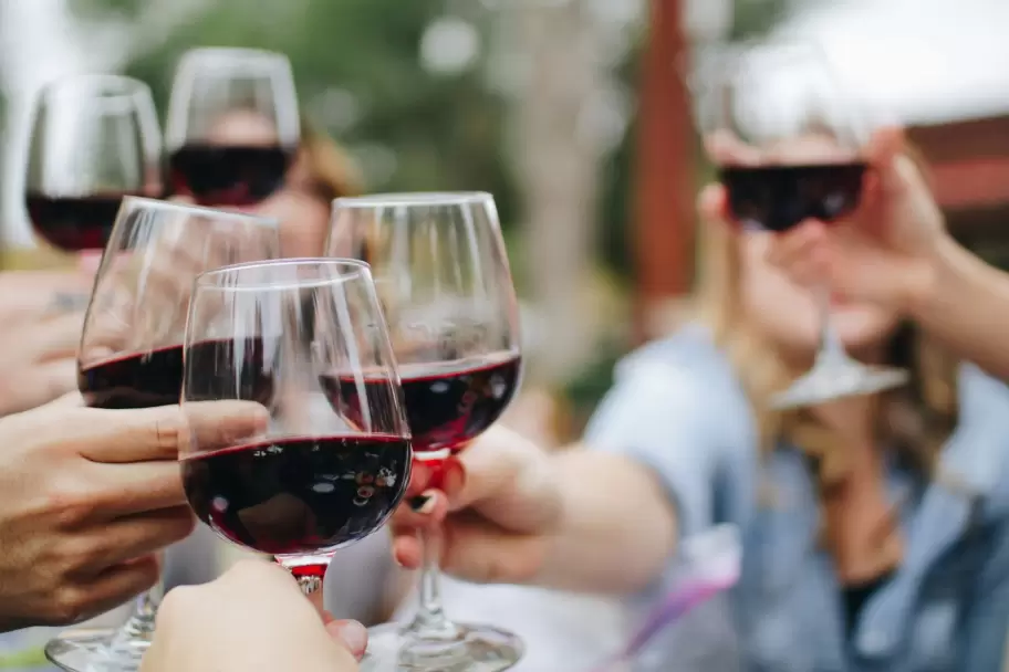 Cata de vinos