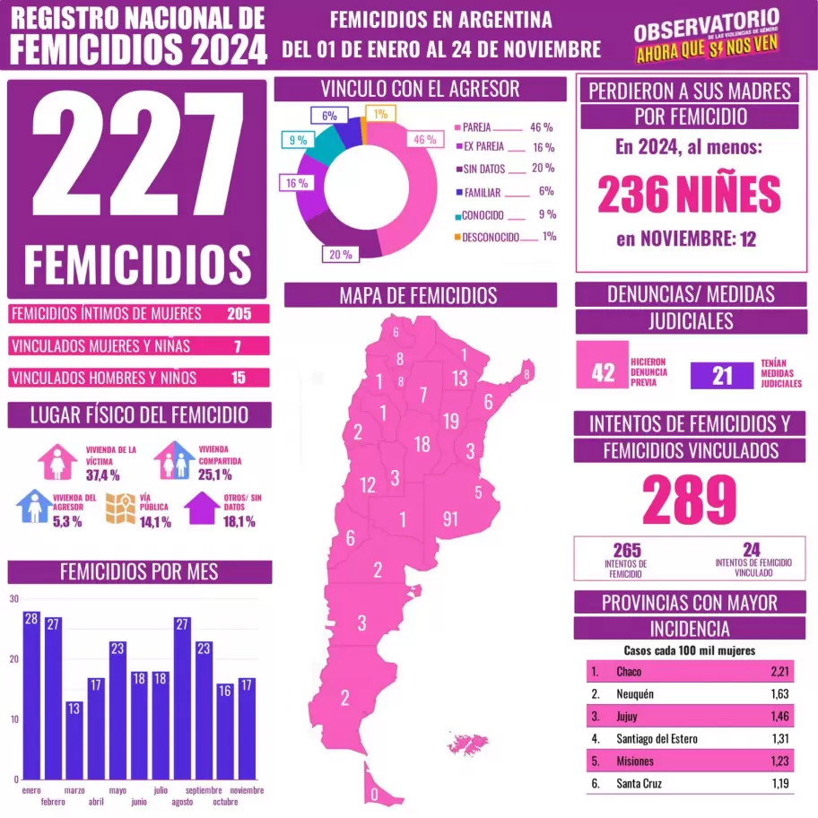 Registro nacional de femicidios en 2024