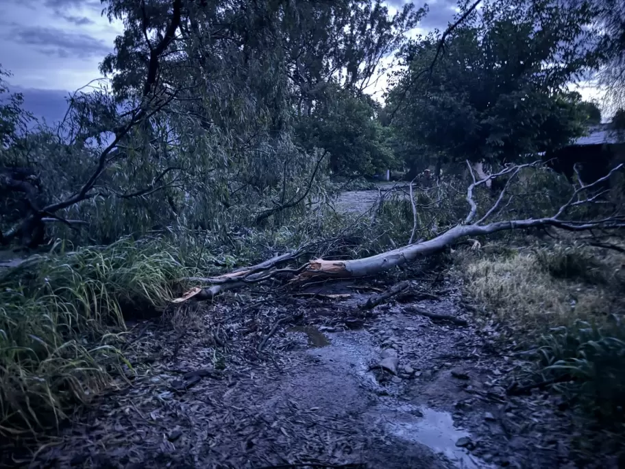 As quedaron las cosechas tras cinco minutos de lluvia