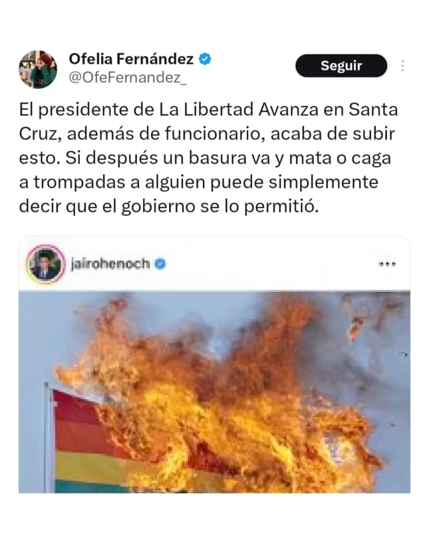 La referenta Ofelia Fernndez viraliz la imagen que comparti Jairo Henoch