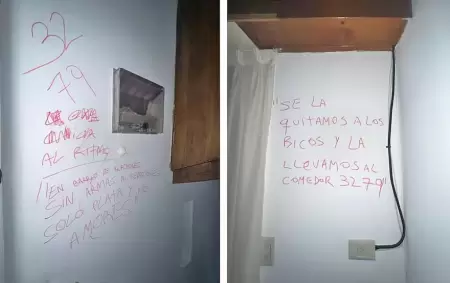 Atacaron a un jubilado, le robaron sus ahorros y le pintaron la casa