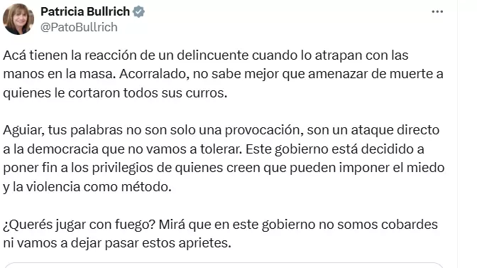 El incendiario tweet de Patricia Bullrich