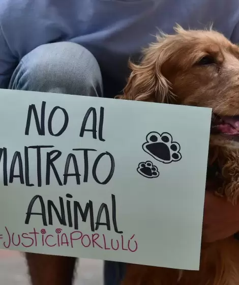 Matrato animal