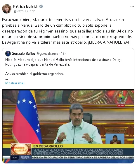 El incendiario posteo de Patricia Bullrich