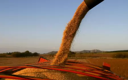 El Gobierno oficializ la baja temporal de retenciones a las exportaciones agropecuarias