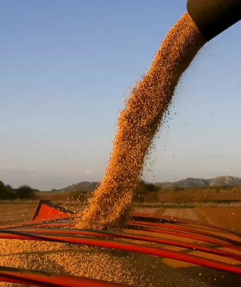 El Gobierno oficializ la baja temporal de retenciones a las exportaciones agropecuarias