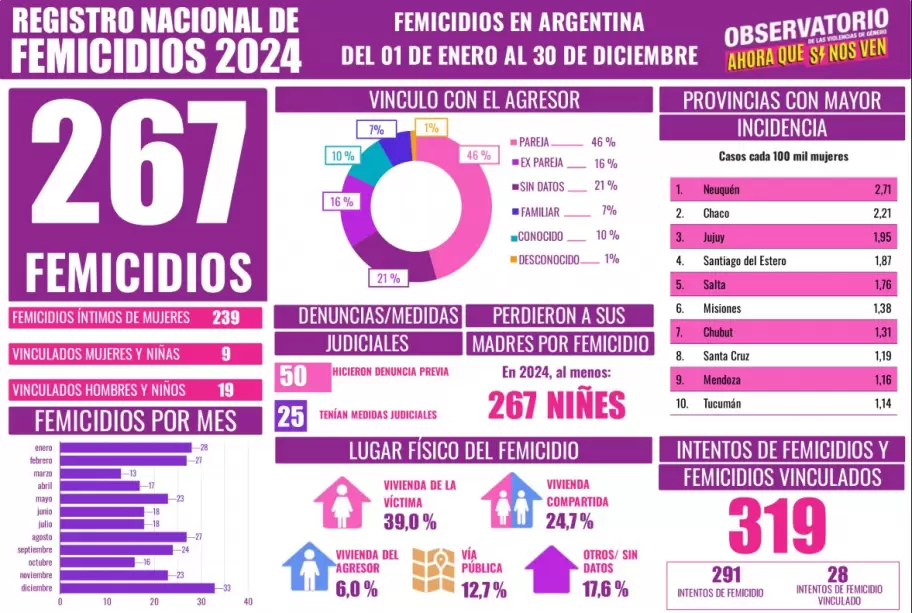 Las estadsticas de femicidios en 2024 del observatorio contra la violencia de gnero Ahora que s nos ven.