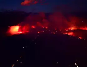 Un crimen contra la naturaleza y la comunidad