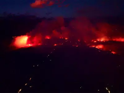 Un crimen contra la naturaleza y la comunidad