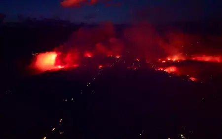 Un crimen contra la naturaleza y la comunidad