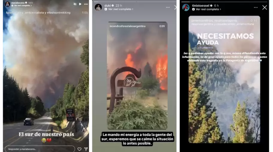 Los famosos utilizaron sus redes sociales para visibilizar lo que sucede en la Patagonia