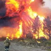 De Lali Espsito y Tini a Duki: los mensajes en redes sociales de los famosos por los incendios en El Bolsn