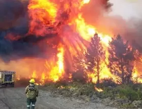 Incendios en El Bolsn