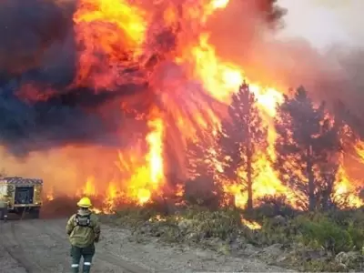 Incendios en El Bolsn