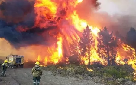 Incendios en El Bolsn