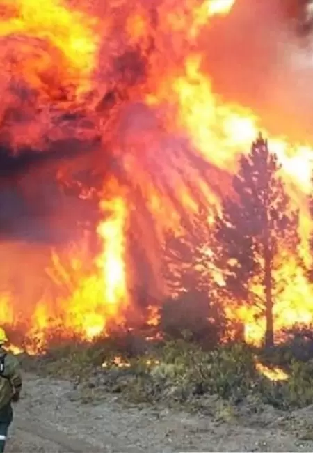 Incendios en El Bolsn