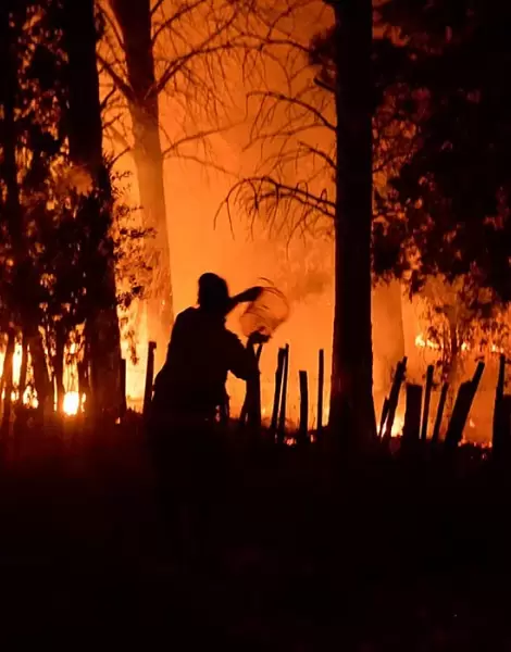 El incendio ms importante se encuentra dentro del Parque Nacional Nahuel Huapi