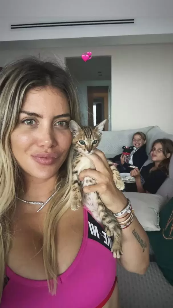 La nueva mascota de Wanda Nara: un gato llamado "Len"