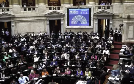 El Gobierno logr la media sancin para la suspensin de las PASO