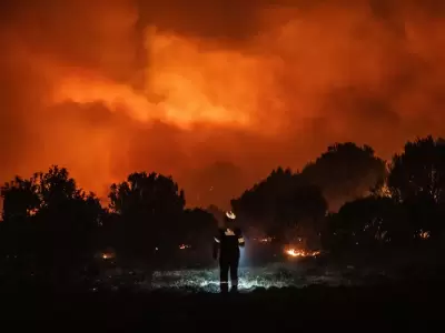 Ms de 4.000 hectreas fueron arrasadas por un fuego que lo devora todo a su paso.