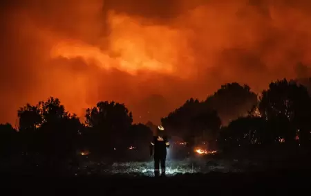 Ms de 4.000 hectreas fueron arrasadas por un fuego que lo devora todo a su paso.