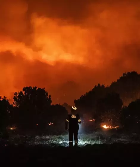 Ms de 4.000 hectreas fueron arrasadas por un fuego que lo devora todo a su paso.