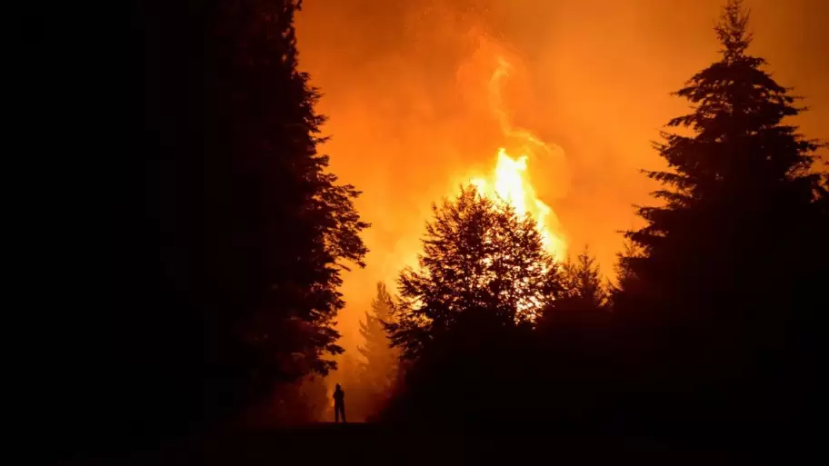 Ms de 4.000 hectreas fueron arrasadas por un fuego que lo devora todo a su paso.